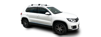 高承载款-沙丁鱼横杆行李架